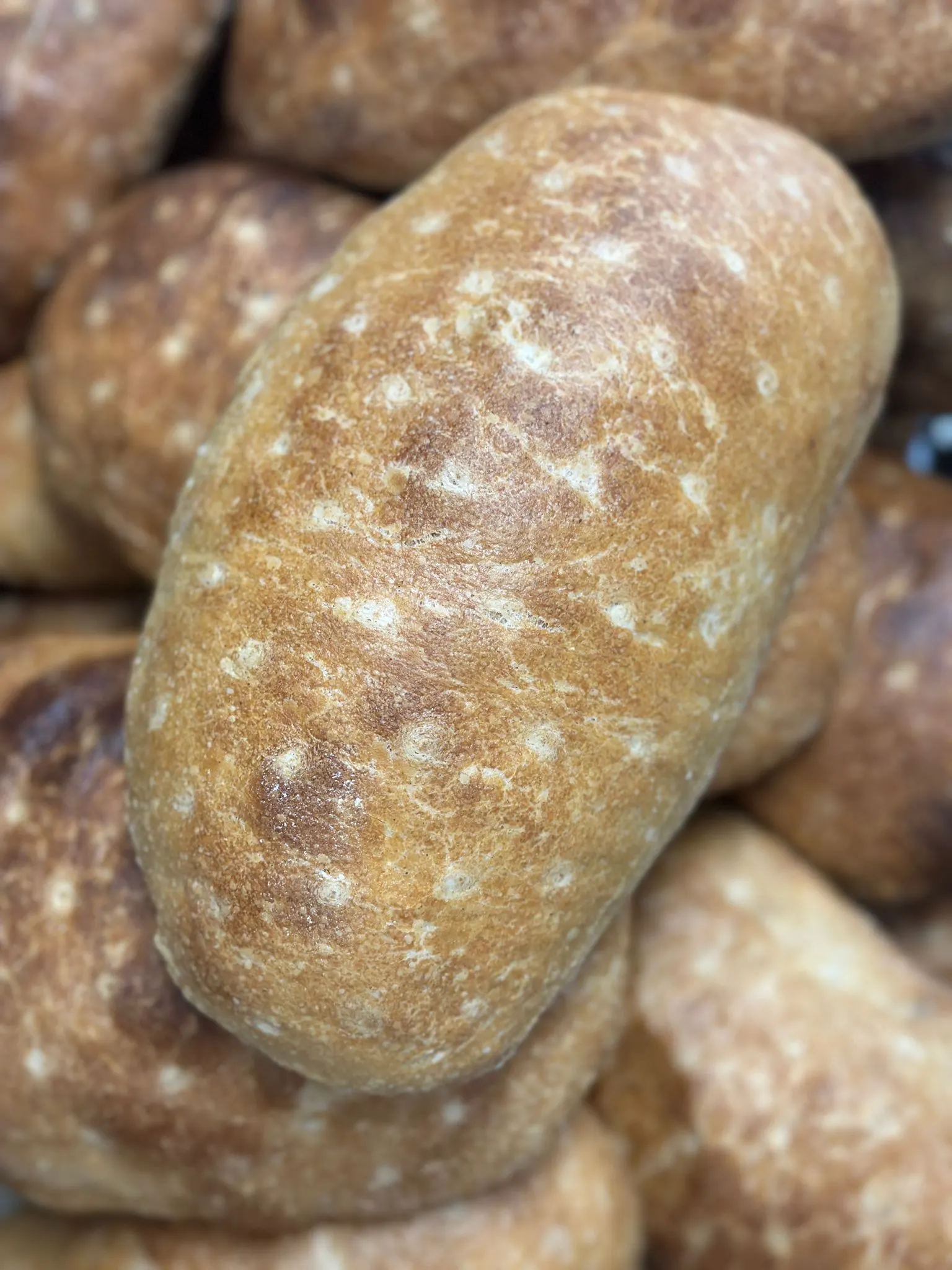 Zdjęcie produktu: RUSTI płaskurka 100%